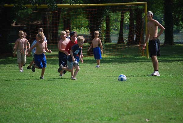 Fields enough for everyone